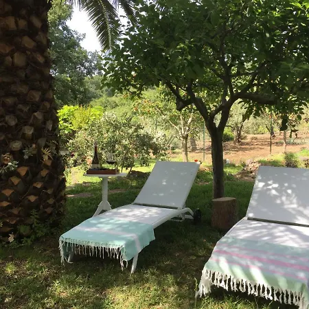 Aprisa Casa vacanze Piedimonte Etneo