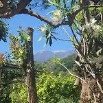 Aprisa Piedimonte Etneo