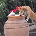 Hébergement de vacances Aprisa *